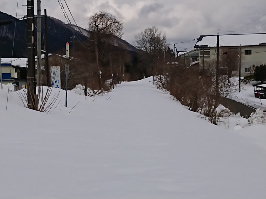 f:id:gomashio-oyaji:20220227080807j:plain