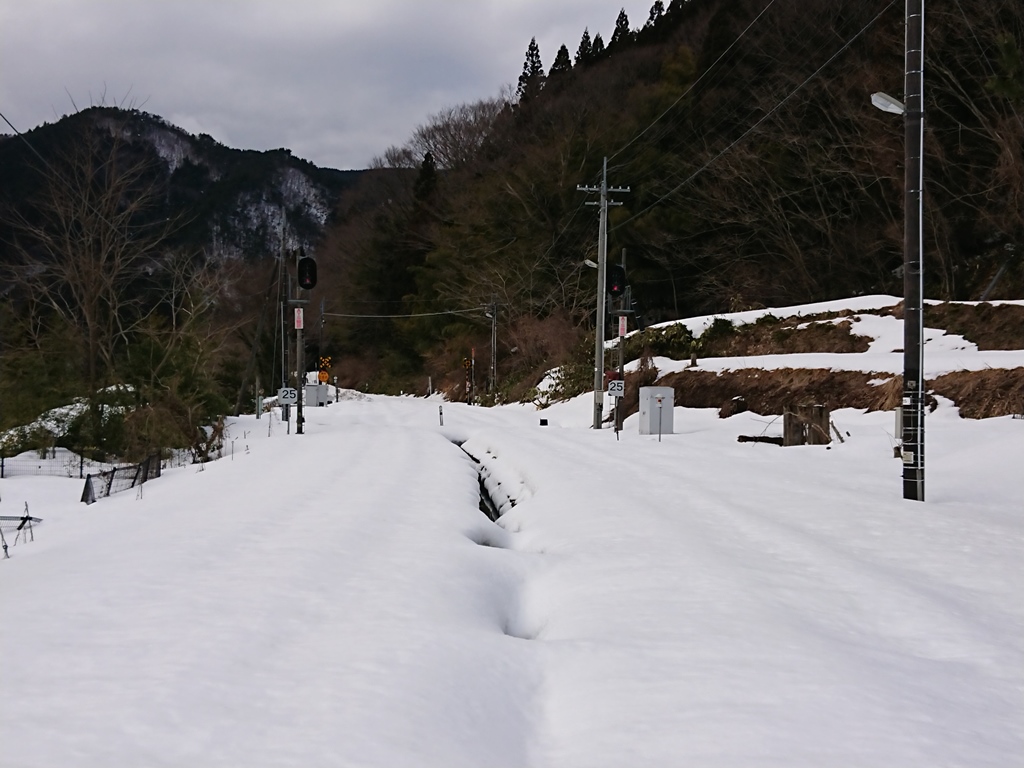 f:id:gomashio-oyaji:20220227080959j:plain