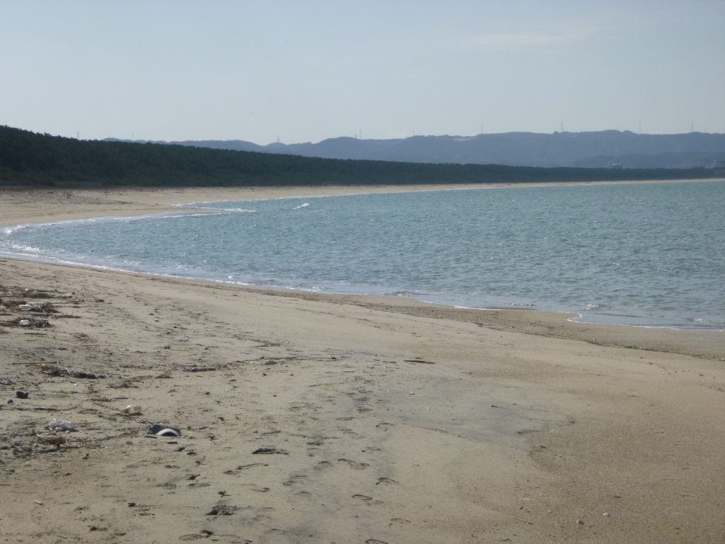 f:id:gomashio-oyaji:20220306080302j:plain