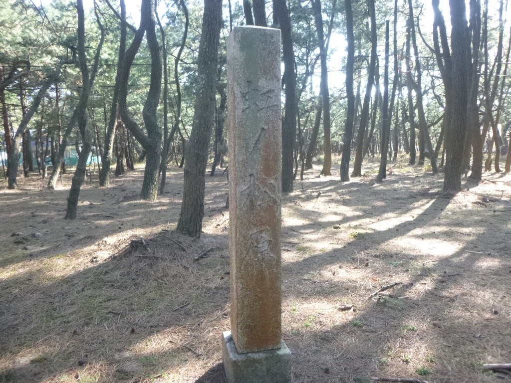 f:id:gomashio-oyaji:20220306080327j:plain