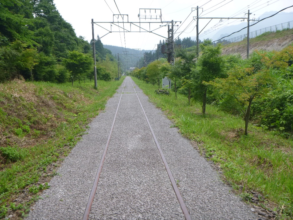 f:id:gomashio-oyaji:20220417213030j:plain
