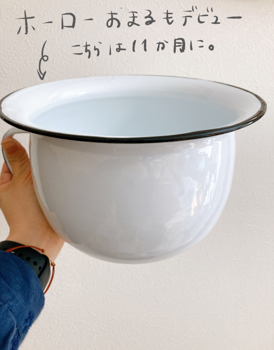 f:id:gomashiropons:20220414223706p:plain