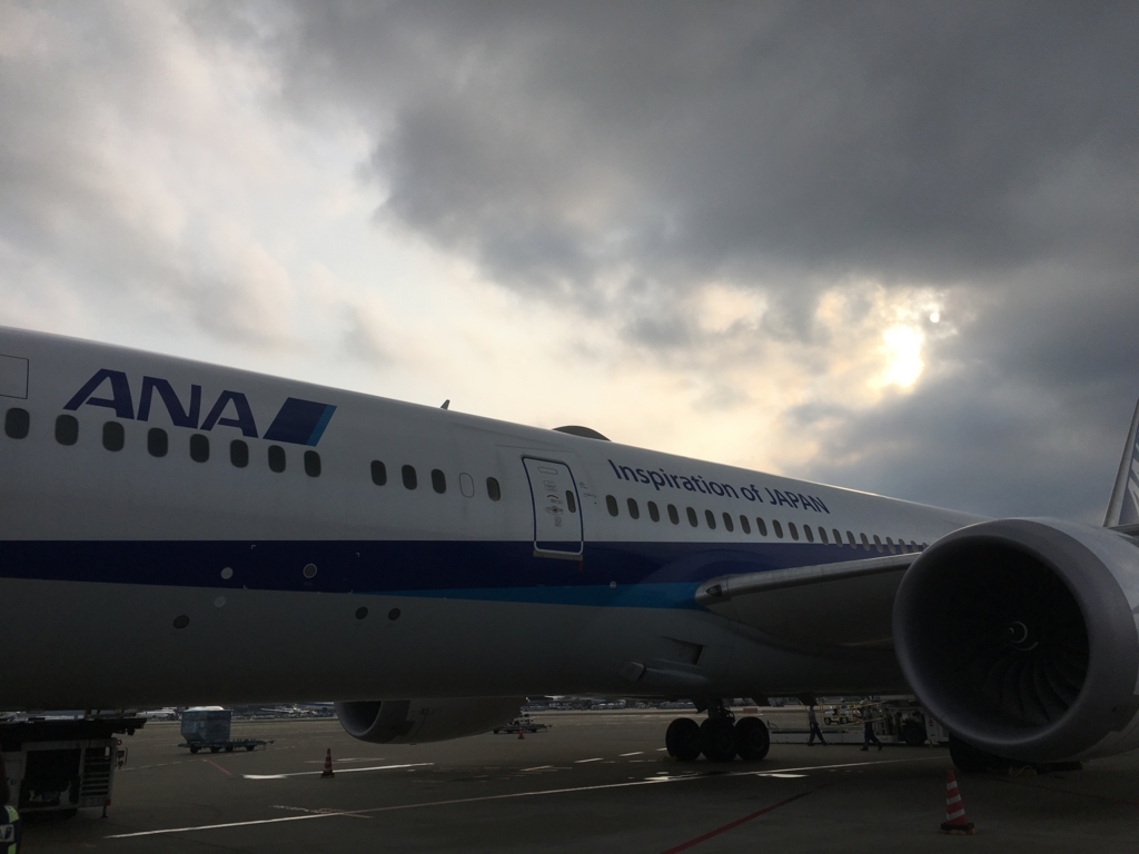 f:id:gomashiso:20180510005812j:plain f:id:gomashiso:20180510005812j:plain