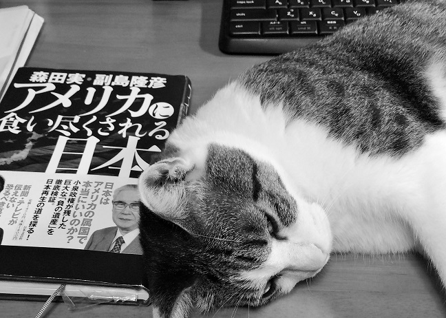 f:id:gomatchi2858:20170731115145j:plain f:id:gomatchi2858:20170731115145j:plain