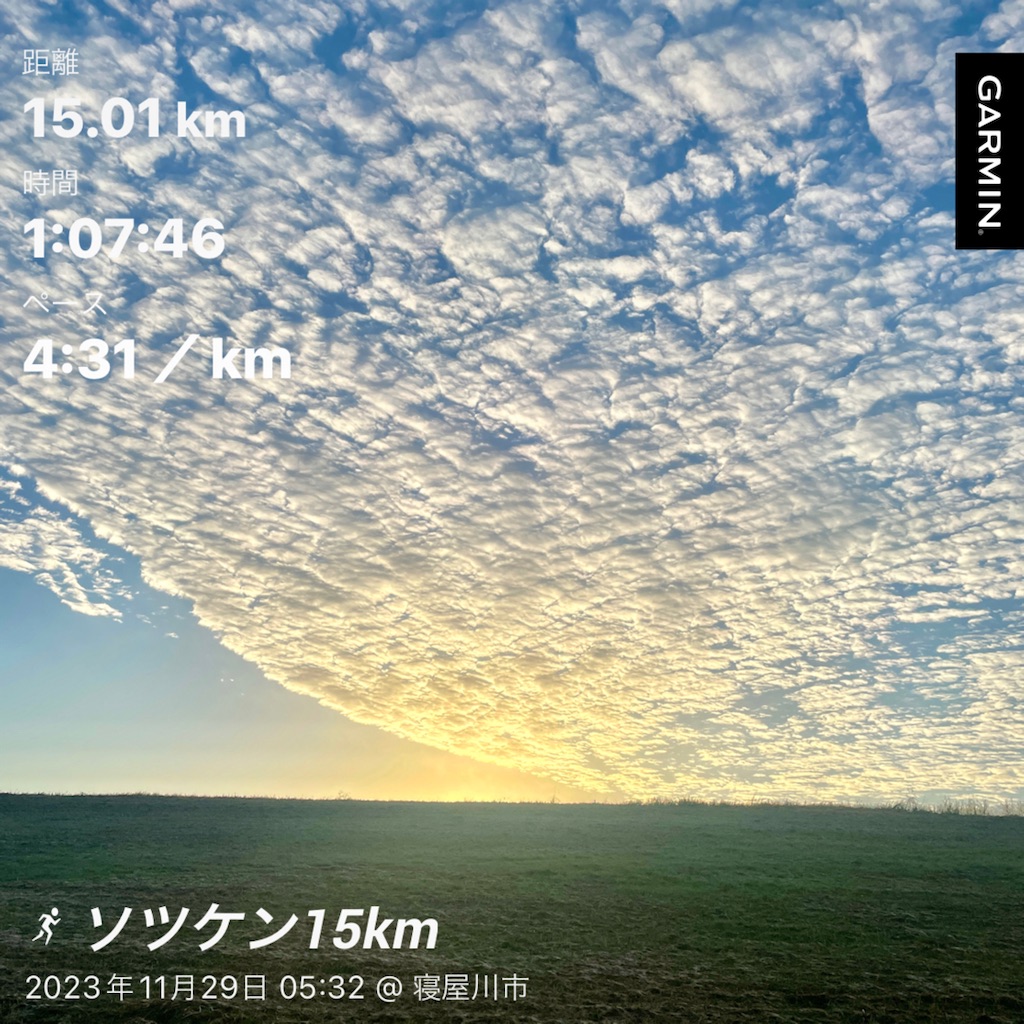 f:id:gomattini:20231130042739j:image f:id:gomattini:20231130042739j:image
