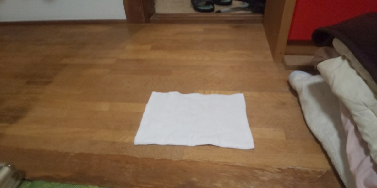 f:id:gomiko53:20191014140959j:plain