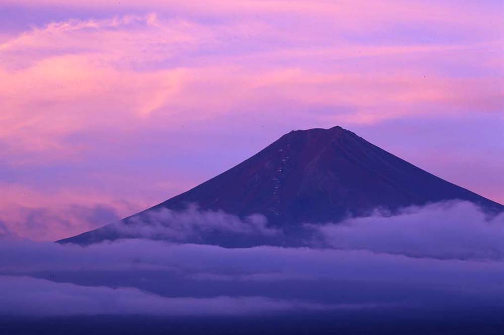 f:id:gominaraJP:20201230225349j:image:w450