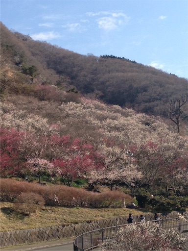 f:id:gomtbytsurugi:20160228073126j:image f:id:gomtbytsurugi:20160228073126j:image