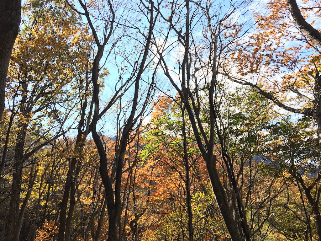 f:id:gomtbytsurugi:20171109191648j:image