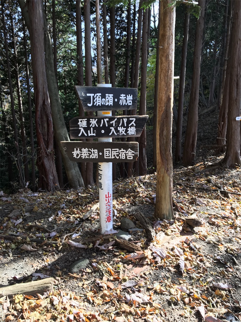 f:id:gomtbytsurugi:20171109191822j:image f:id:gomtbytsurugi:20171109191822j:image