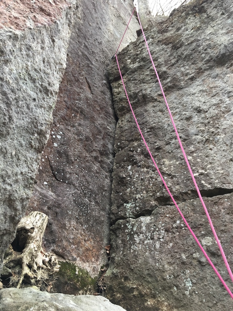 f:id:gomtbytsurugi:20171113185644j:image