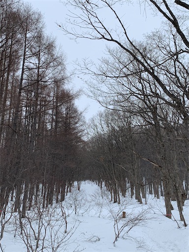 f:id:gomtbytsurugi:20200216185347j:image f:id:gomtbytsurugi:20200216185347j:image
