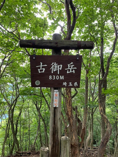 f:id:gomtbytsurugi:20200919132934j:image f:id:gomtbytsurugi:20200919132934j:image