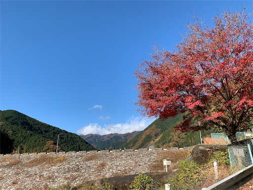 f:id:gomtbytsurugi:20201122110017j:image