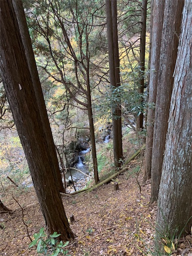 f:id:gomtbytsurugi:20201122111231j:image