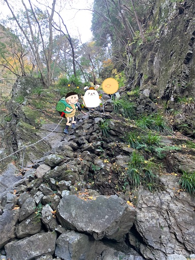 f:id:gomtbytsurugi:20201122111234j:image