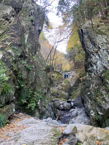 f:id:gomtbytsurugi:20201122111237j:image