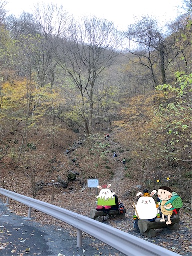 f:id:gomtbytsurugi:20201122112059j:image