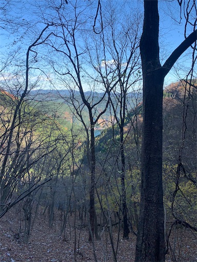 f:id:gomtbytsurugi:20201122112216j:image