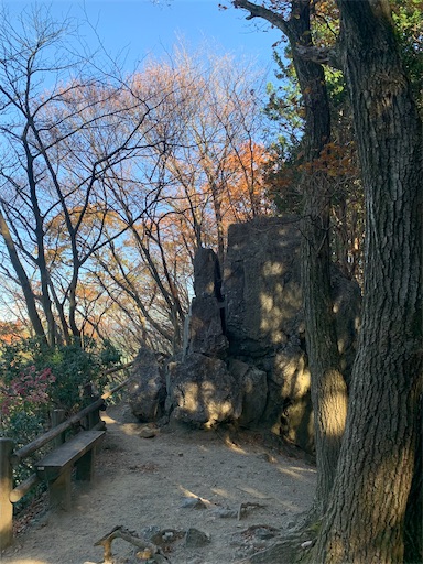 f:id:gomtbytsurugi:20201122112219j:image