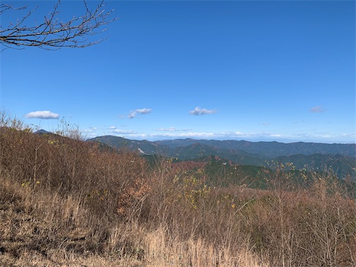 f:id:gomtbytsurugi:20201122113135j:image