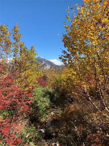 f:id:gomtbytsurugi:20211013215308j:image f:id:gomtbytsurugi:20211013215308j:image