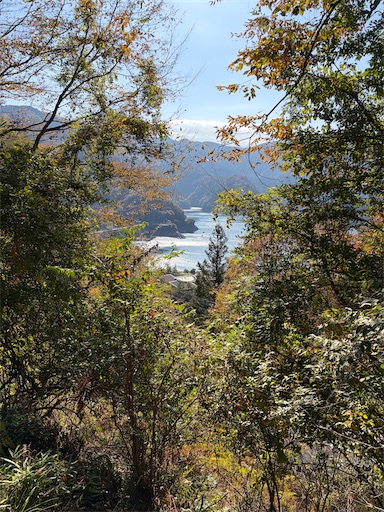 f:id:gomtbytsurugi:20251109180548j:image f:id:gomtbytsurugi:20251109180548j:image