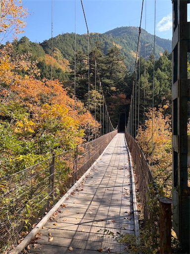 f:id:gomtbytsurugi:20251109180551j:image f:id:gomtbytsurugi:20251109180551j:image