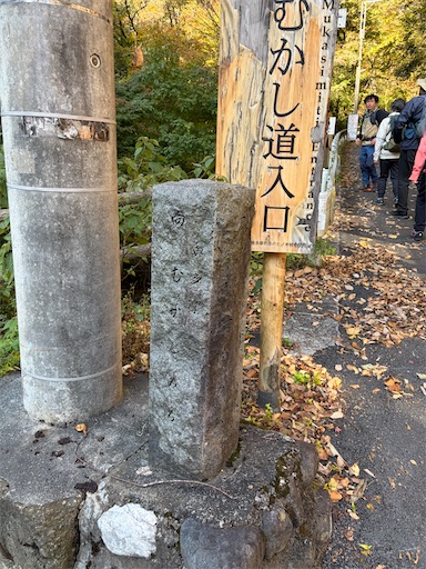 f:id:gomtbytsurugi:20251109180559j:image f:id:gomtbytsurugi:20251109180559j:image