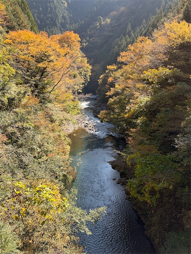 f:id:gomtbytsurugi:20251109180613j:image f:id:gomtbytsurugi:20251109180613j:image