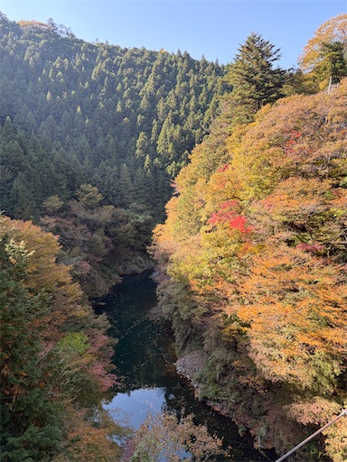 f:id:gomtbytsurugi:20251109180620j:image f:id:gomtbytsurugi:20251109180620j:image