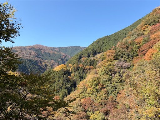 f:id:gomtbytsurugi:20251109180632j:image f:id:gomtbytsurugi:20251109180632j:image