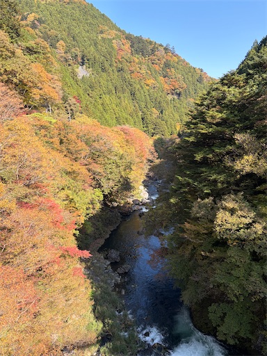 f:id:gomtbytsurugi:20251109180655j:image f:id:gomtbytsurugi:20251109180655j:image