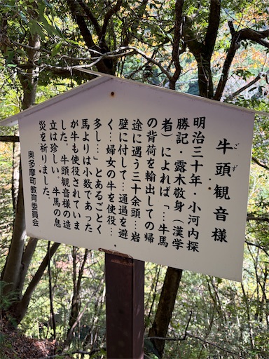 f:id:gomtbytsurugi:20251109180704j:image f:id:gomtbytsurugi:20251109180704j:image