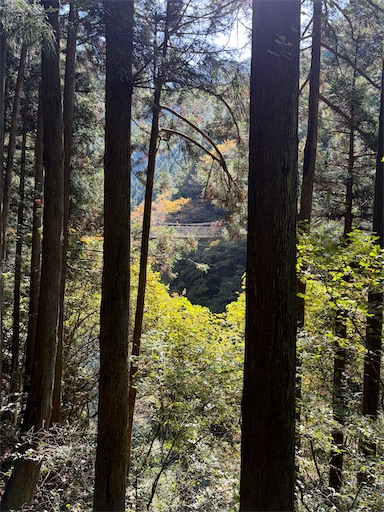 f:id:gomtbytsurugi:20251109180907j:image f:id:gomtbytsurugi:20251109180907j:image