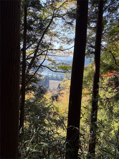 f:id:gomtbytsurugi:20251109180910j:image f:id:gomtbytsurugi:20251109180910j:image