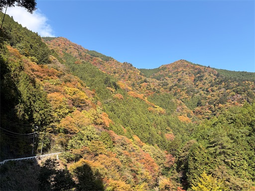 f:id:gomtbytsurugi:20251109180937j:image f:id:gomtbytsurugi:20251109180937j:image