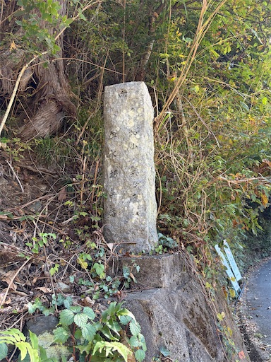 f:id:gomtbytsurugi:20251109180954j:image f:id:gomtbytsurugi:20251109180954j:image