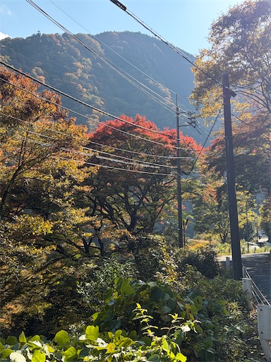 f:id:gomtbytsurugi:20251109181010j:image f:id:gomtbytsurugi:20251109181010j:image