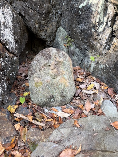 f:id:gomtbytsurugi:20251109181028j:image f:id:gomtbytsurugi:20251109181028j:image