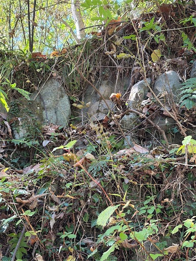 f:id:gomtbytsurugi:20251109181254j:image f:id:gomtbytsurugi:20251109181254j:image