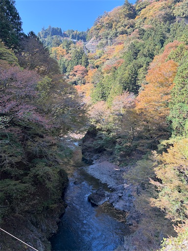 f:id:gomtbytsurugi:20251109181257j:image f:id:gomtbytsurugi:20251109181257j:image