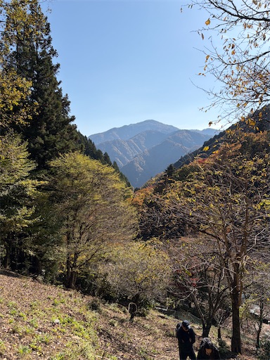 f:id:gomtbytsurugi:20251109181312j:image f:id:gomtbytsurugi:20251109181312j:image