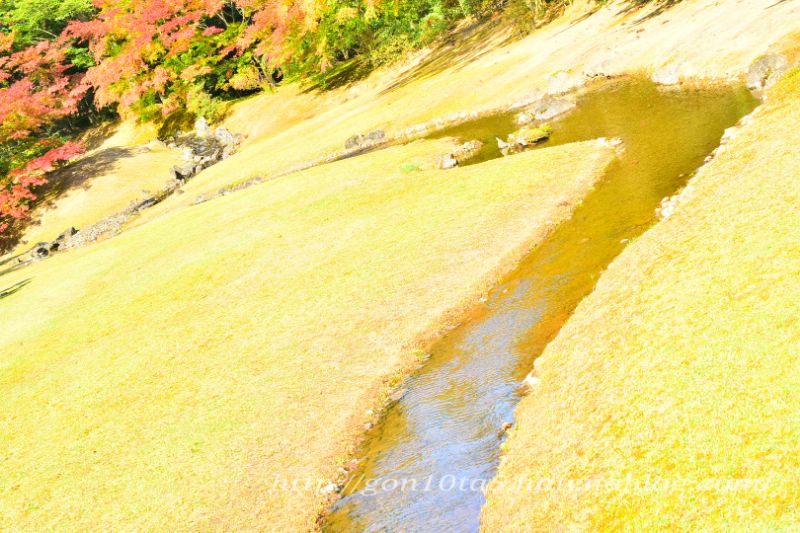 f:id:gon10ta5:20161220155600j:plain f:id:gon10ta5:20161220155600j:plain