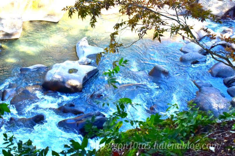 f:id:gon10ta5:20170113221354j:plain