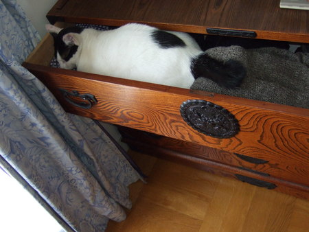 f:id:gonbey:20070804101848j:image f:id:gonbey:20070804101848j:image