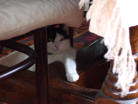 f:id:gonbey:20071008091510j:image