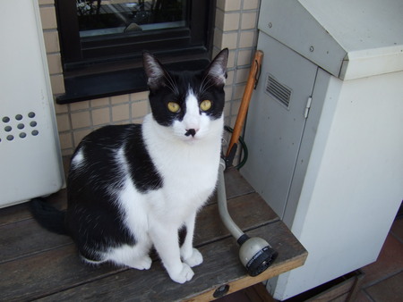 f:id:gonbey:20071012093841j:image