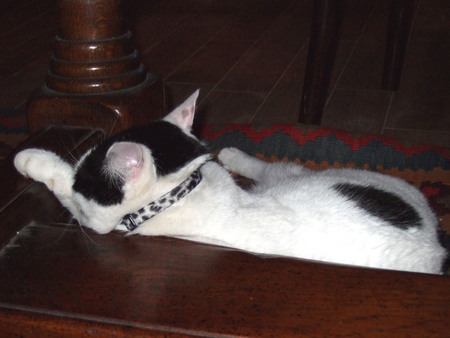 f:id:gonbey:20080113185710j:image