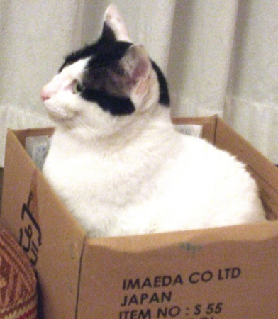 f:id:gonbey:20080130215904j:image